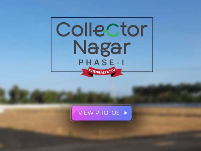 Collector Nagar